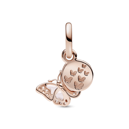 Mariposa rosa y cita A14